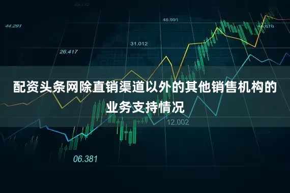 配资头条网除直销渠道以外的其他销售机构的业务支持情况
