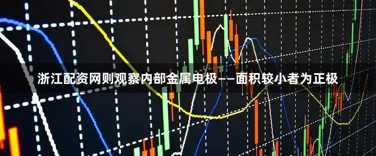 浙江配资网则观察内部金属电极——面积较小者为正极