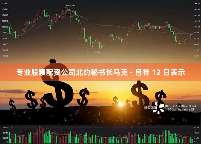 专业股票配资公司北约秘书长马克 · 吕特 12 日表示